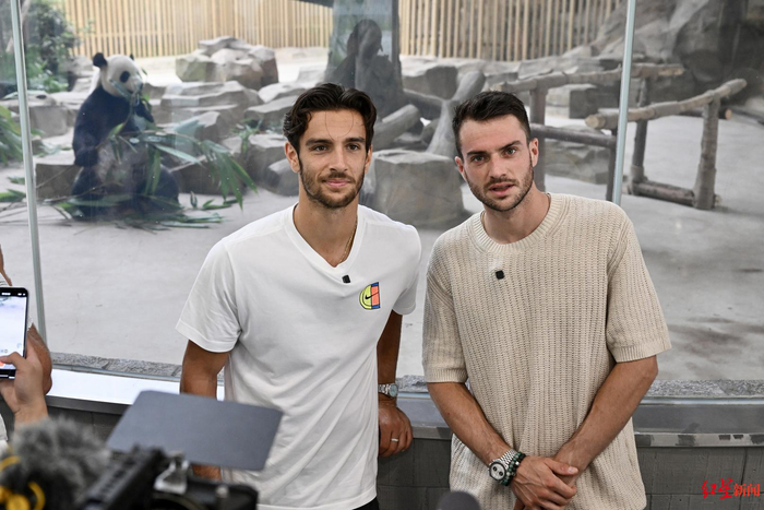 整和球员状 整和球员状